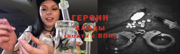 сатива Бородино