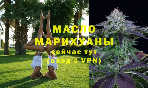 сатива Бородино