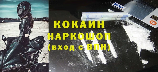 сатива Бородино