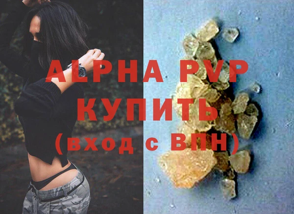 сатива Бородино