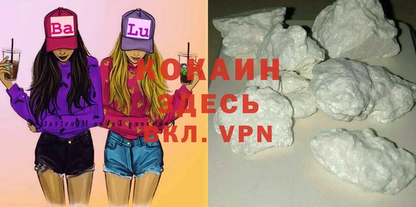 сатива Бородино