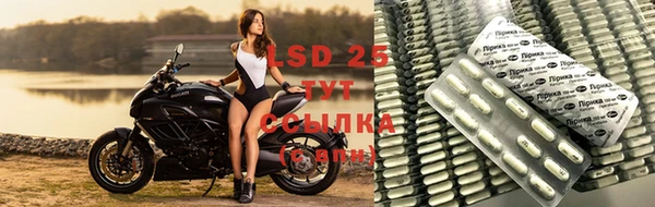 сатива Бородино