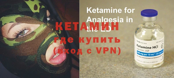 сатива Бородино