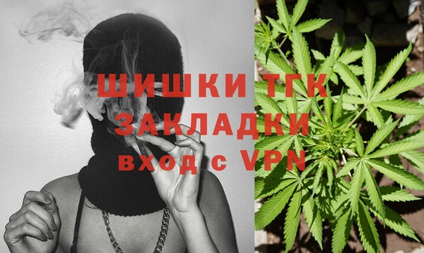 сатива Бородино