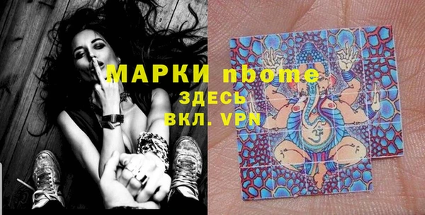 сатива Бородино