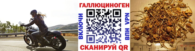 Псилоцибиновые грибы ЛСД  Новоузенск 